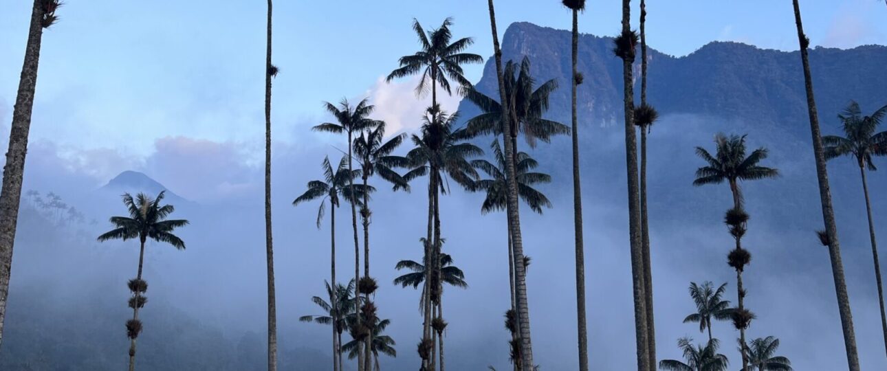 eje cafetero colombiano