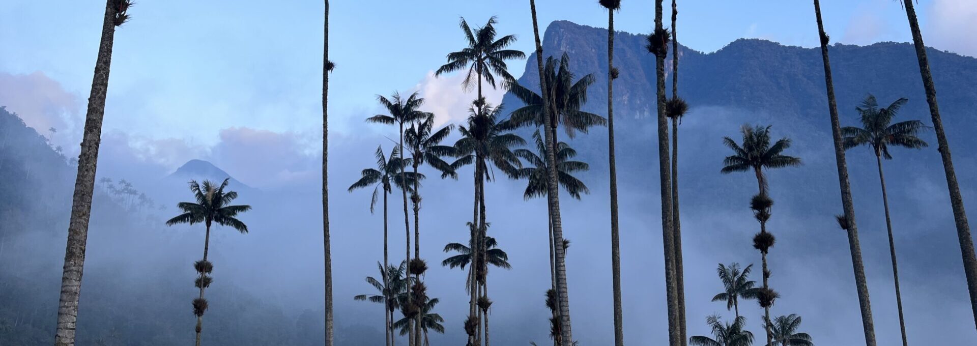 eje cafetero colombiano