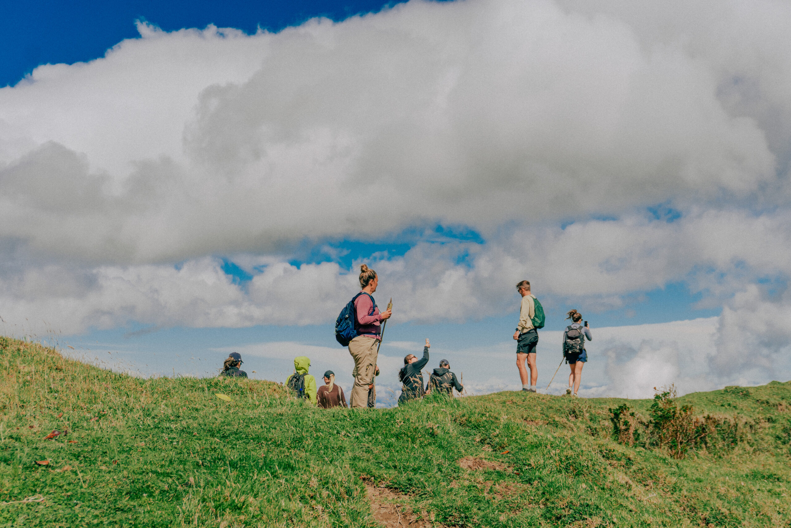 coffee tree butique tours experiences