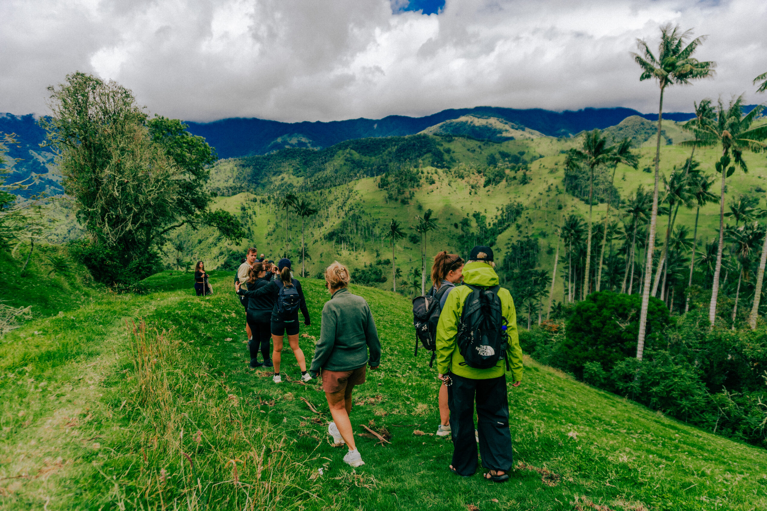 carbonera salento colombia