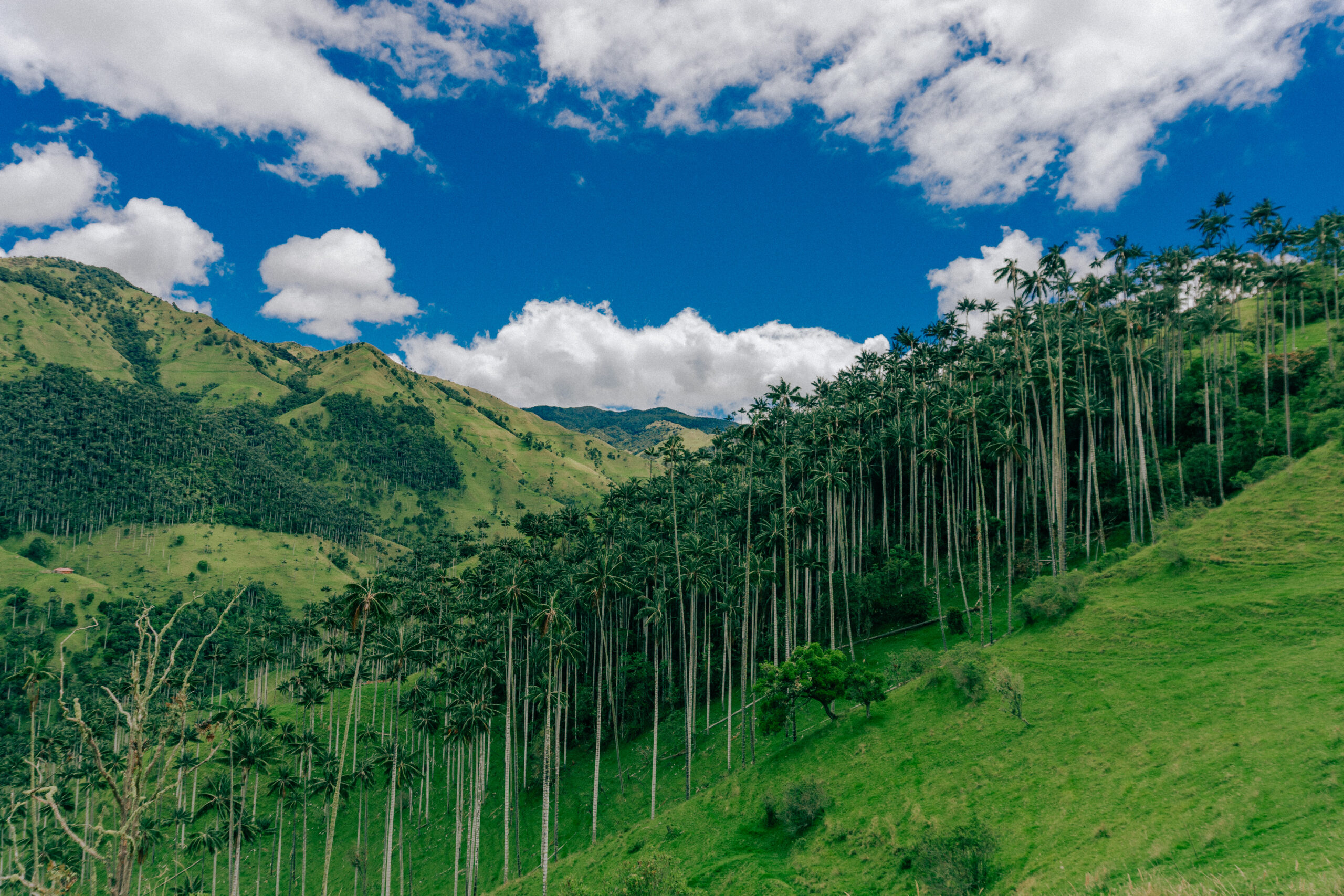 colombia travel trips experiences adventure