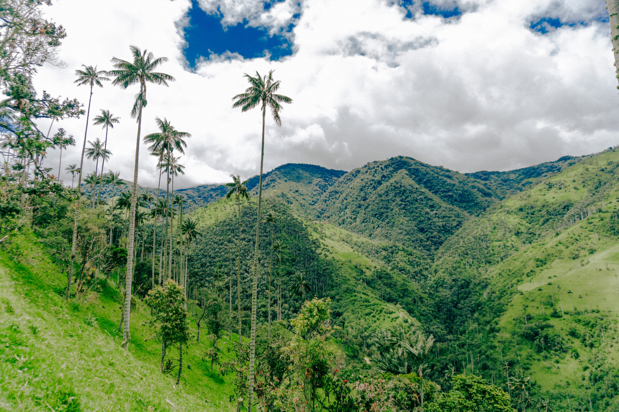 adventures eje cafetero colombia